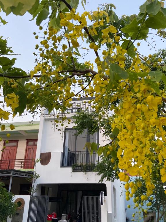 洞海Ju’s House的白色建筑前的黄色花树