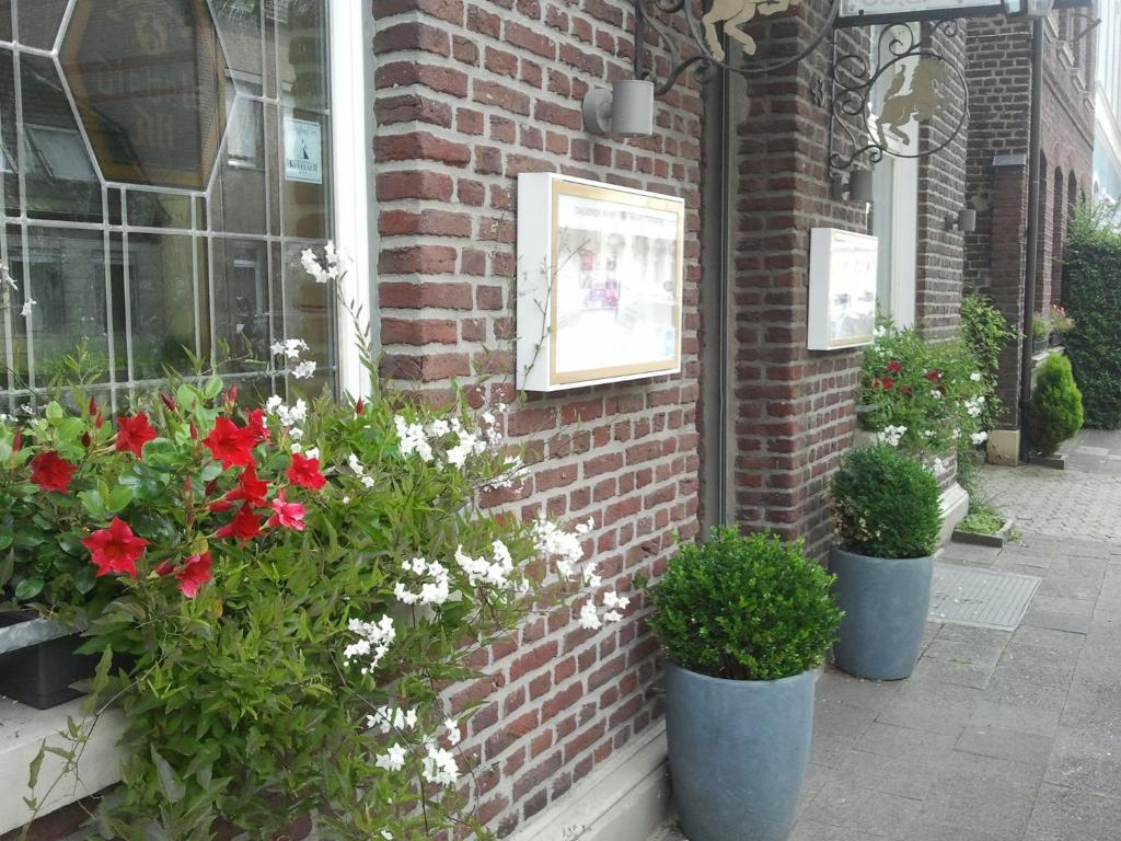 凯沃拉尔戈尔登杜科酒店的建筑物边的盆子花群