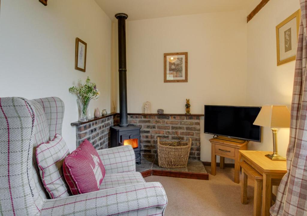 LlanerchymeddThe Dairy的客厅设有壁炉、沙发和电视。