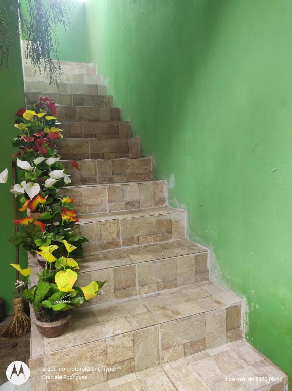 瓜拉米兰加Suíte GUARAMIRANGA no Sítio的绿墙和鲜花的楼梯