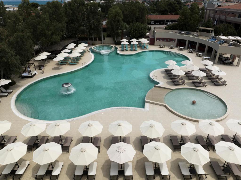 沃拉哈蒂阿尔克扬Spa度假酒店的享有带遮阳伞的游泳池的顶部景致