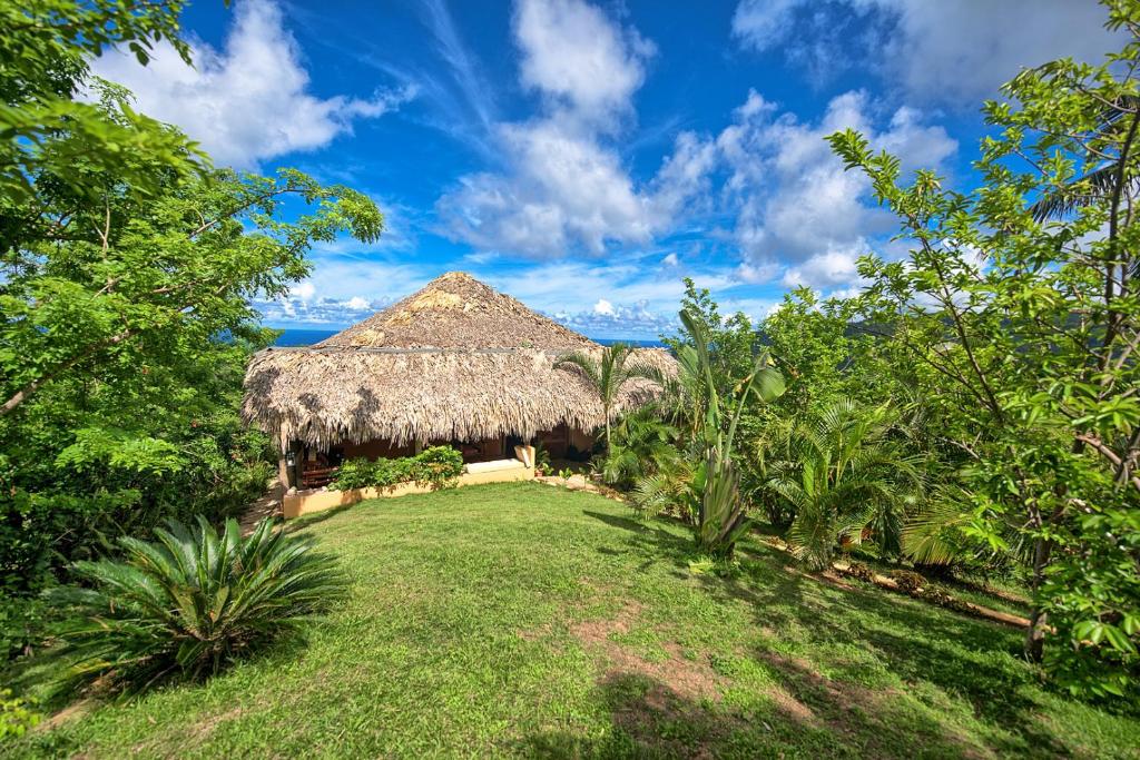 El LimónCasa La Bambulera en el corazon de Samana的茅草屋顶和庭院的度假胜地