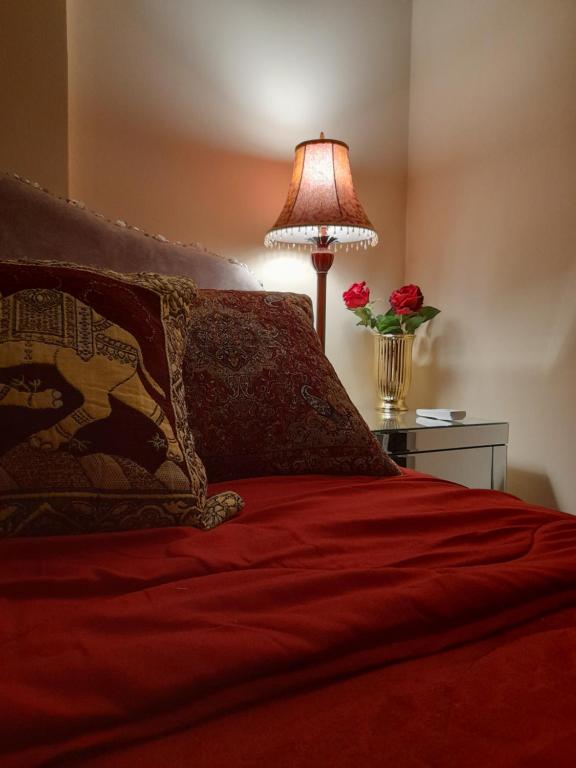 查查克TeriTara的一间卧室配有红色的床、一盏灯和玫瑰