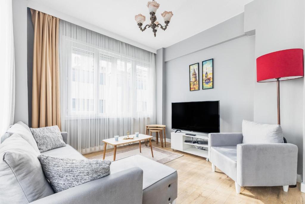 伊斯坦布尔Modern Stylish Cozy Flat in the Heart of Kadikoy的带沙发和电视的客厅
