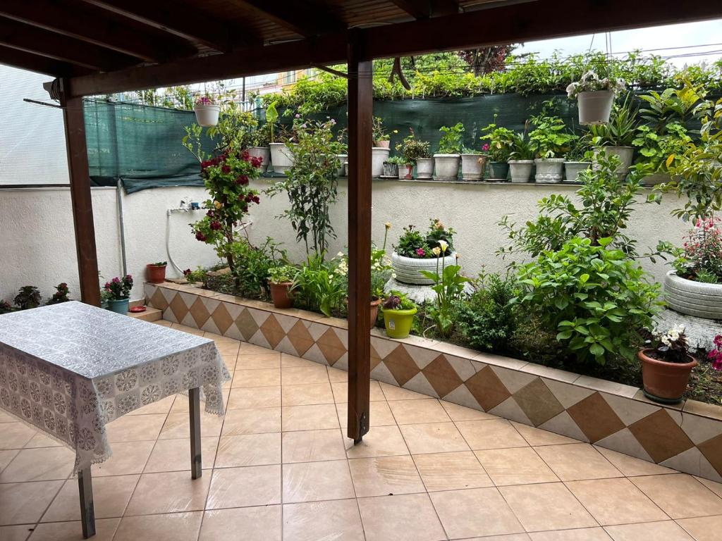 萨兰达Goni Guest House的一个带桌子和一束盆栽植物的庭院