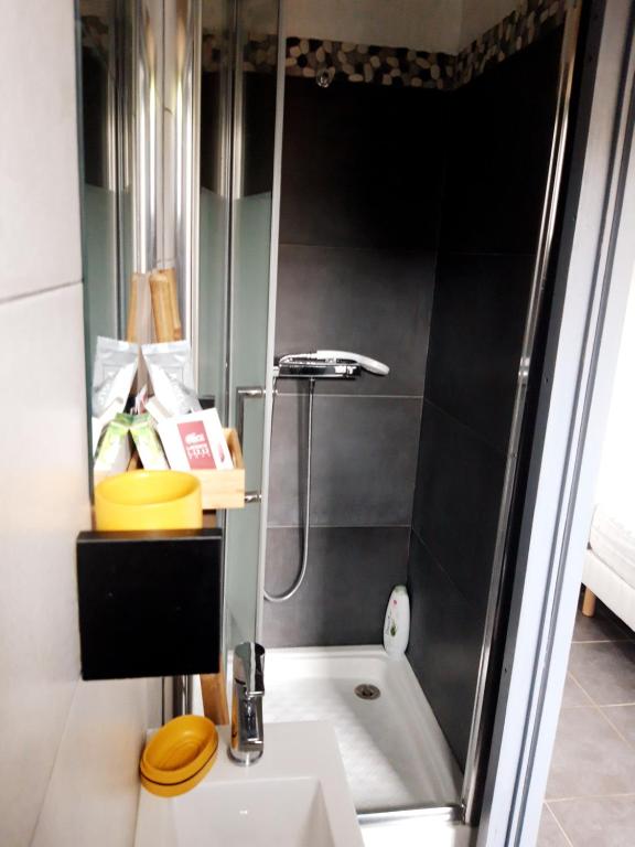 朗吉斯T2 Rungis Mermoz Lenôtre Orly的带淋浴、卫生间和盥洗盆的浴室