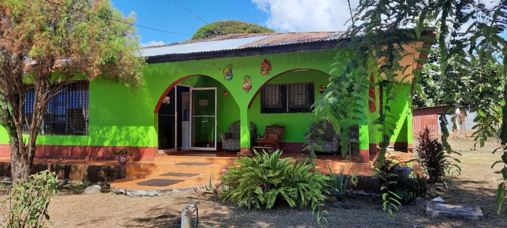 玉米岛Hospedaje Tropical Dreams的一座带前门和院子的绿色房子