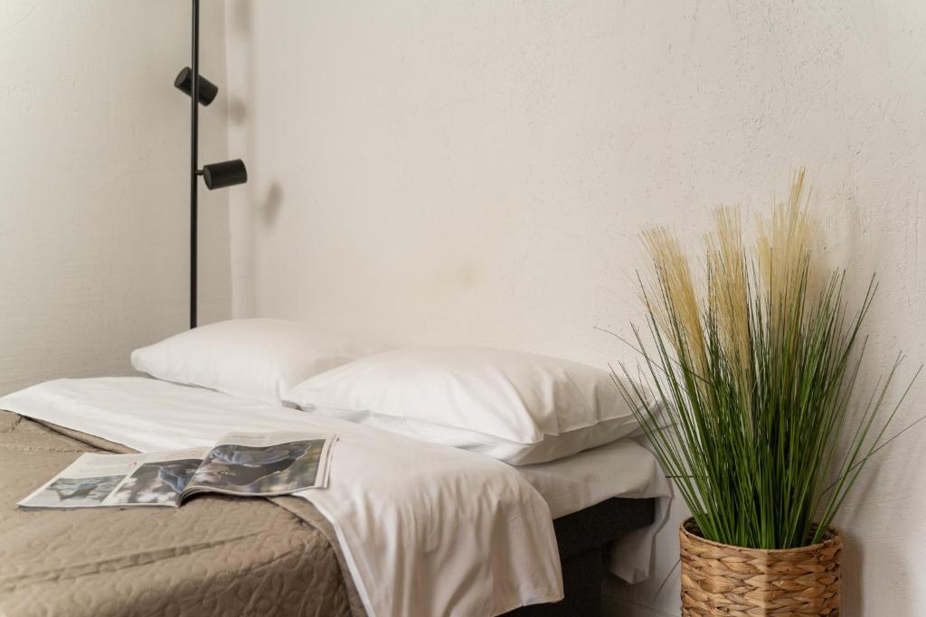 维尔纽斯Air Apartment 304的一间卧室设有两张床和盆栽植物
