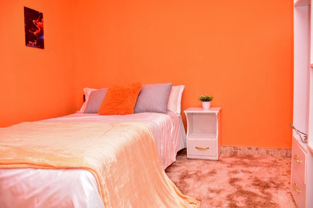 埃尔多雷特CasaAloha Homes- Cozy 1Bdr - Along Eldoret-Kisumu Highway - Near the Edge Bar and Restaurant的一间卧室设有橙色墙壁和一张床