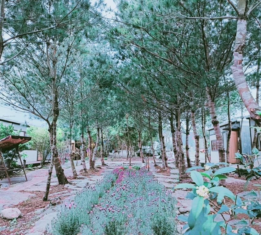 藍色星空庭園民宿評價、特色體驗、房價資訊、訂房連結 – 親切熱情與舒適環境 - 照片 16