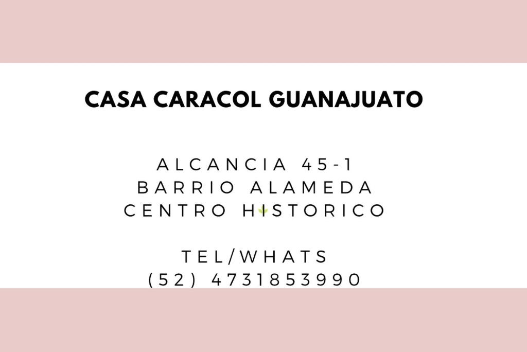 瓜纳华托Casa Caracol Guanajuato的白色无衬线字体,有黑线和数字