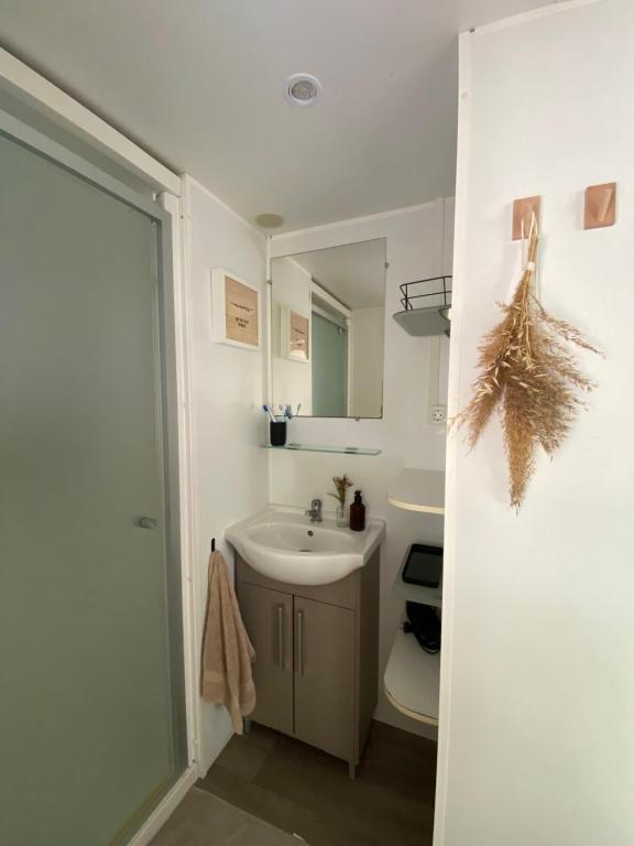 维亚斯Ruhig gelegenes Mobilhome La Carabasse的一间带水槽、卫生间和镜子的浴室