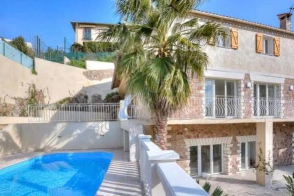 戛纳Villa Jasmine - Cannes的棕榈树和游泳池的房子