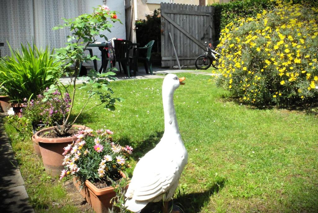 托雷德尔格拉戈普奇Appartamento con giardino a 5 minuti dal mare的一只白色的鹅站在一个鲜花盛开的院子中