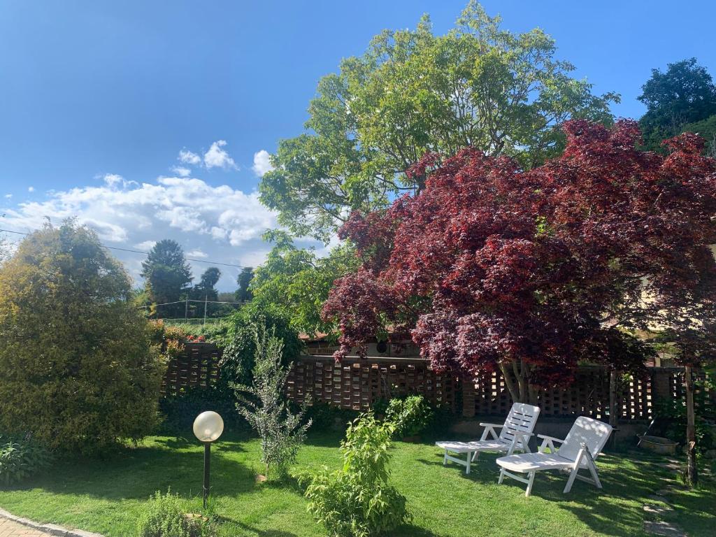 维韦罗内Bouganville的两把白色椅子,在院子里,有树