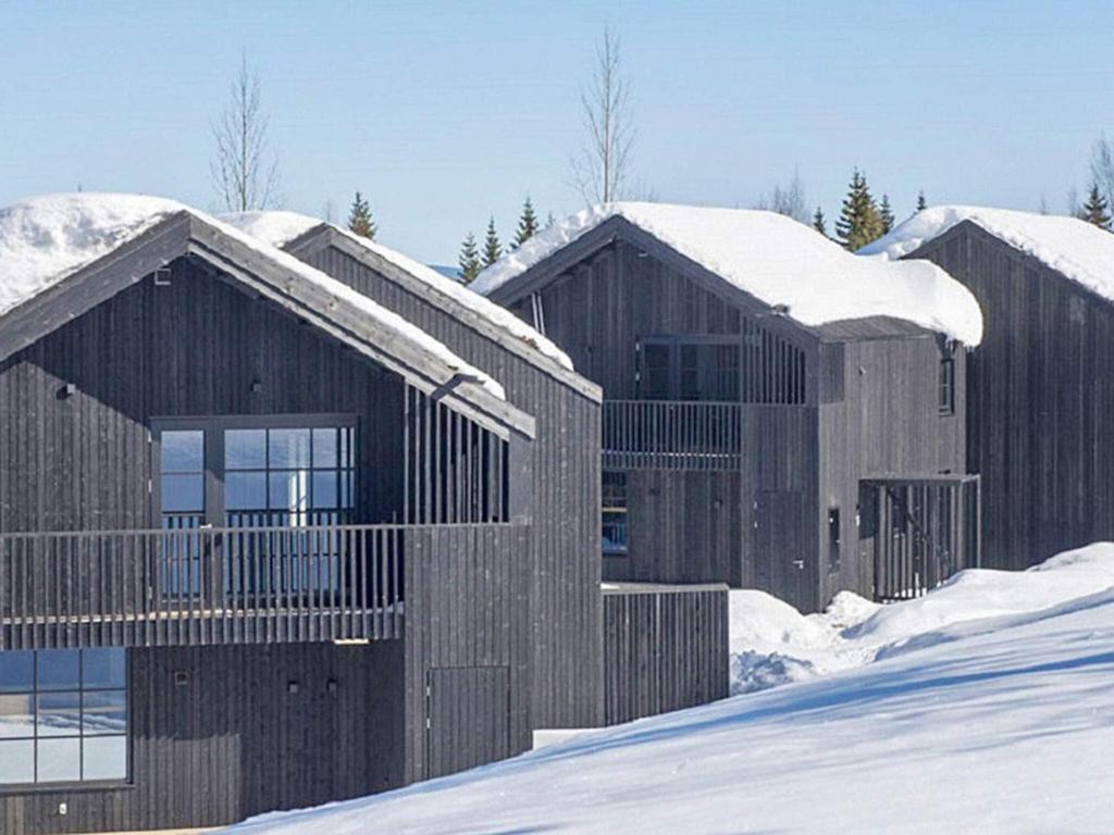斯托滕Holiday home SÄLEN的雪中一排木头建筑