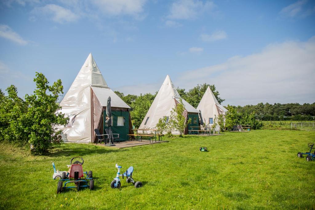 西泰尔斯海灵Boerderij Halfweg的草场上的一组帐篷