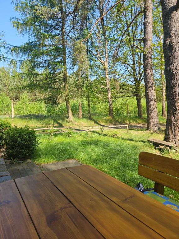 奥斯特罗达Domek na jeziorem的公园里木凳,有树木和草地