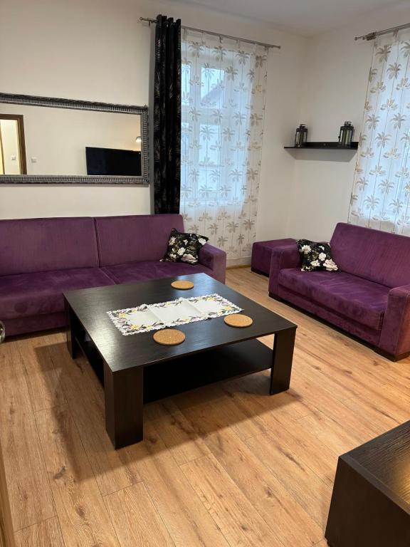 别尔斯克-比亚拉Nowy Apartament z jacuzzi w Bielsku-Białej的客厅配有紫色沙发和茶几