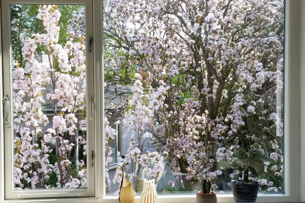 VibyModerne villalejlighed på 110 kvm + stor terrasse的窗户上有一棵树,上面有粉红色的花朵