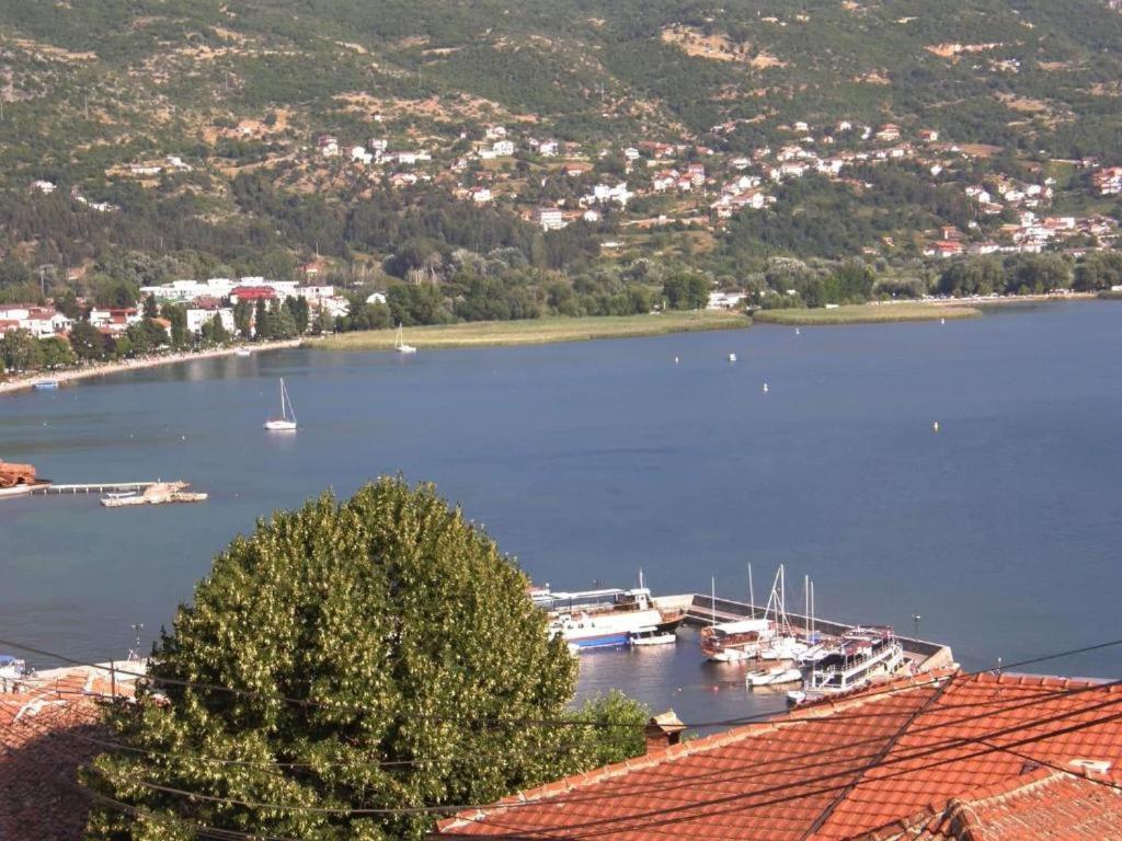 奥赫里德Villa Scandik Ohrid的享有海港和水中船只的景色