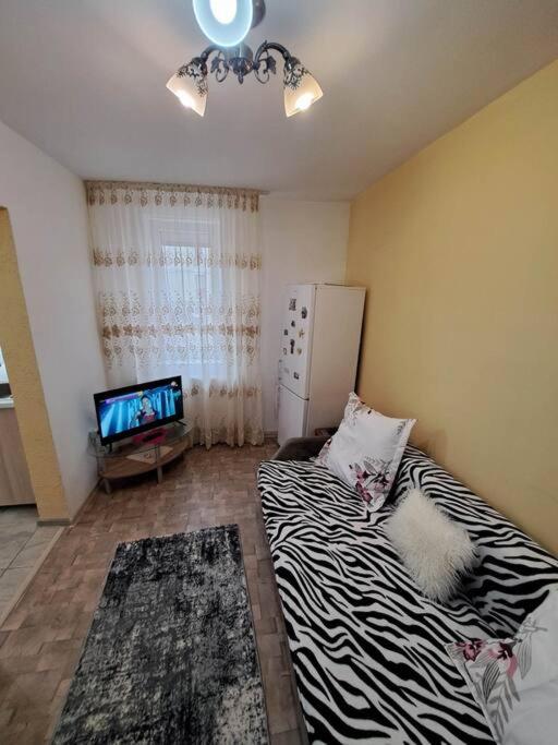 拉姆尼库沃尔恰Dovali apartment的一间设有床铺和电视的房间