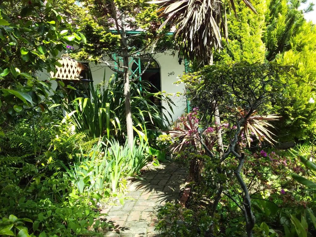 霍巴特Josie's Cottage的穿过种有植物的花园的路径