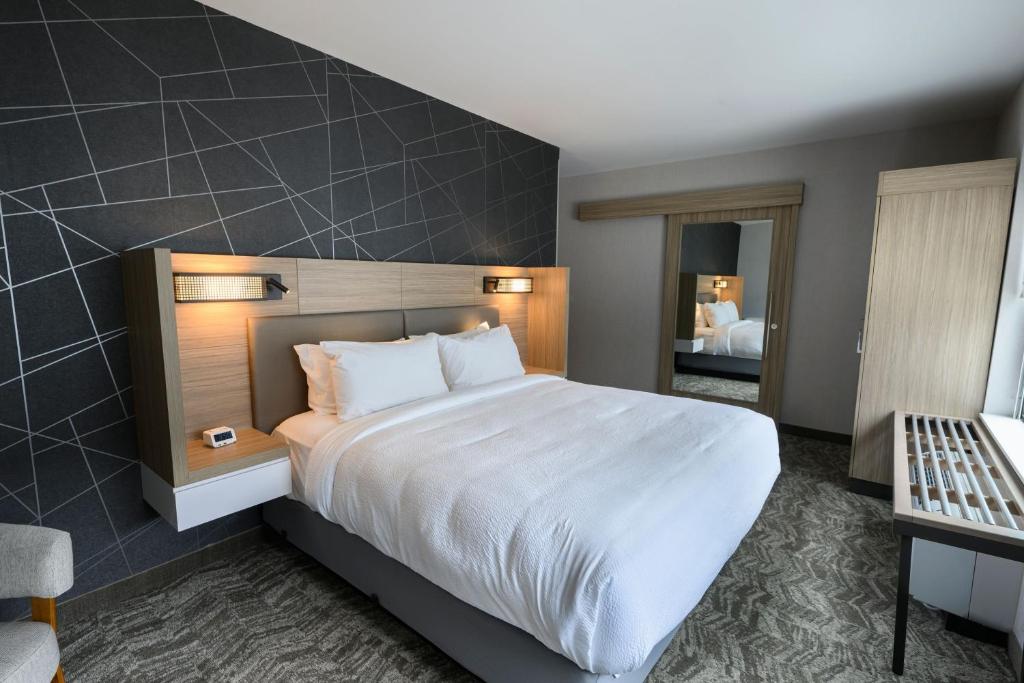 科罗拉多斯普林斯SpringHill Suites by Marriott Colorado Springs Downtown的配有一张大床和镜子的酒店客房