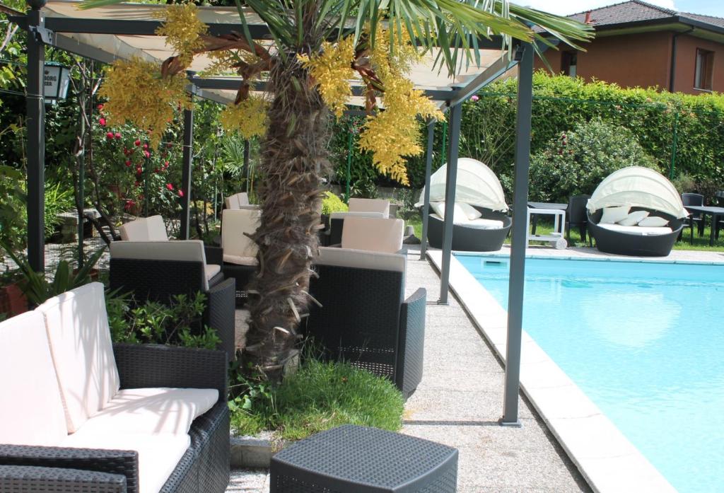 马卡尼奥天堂旅馆的一座带椅子的游泳池,一座棕榈树旁边