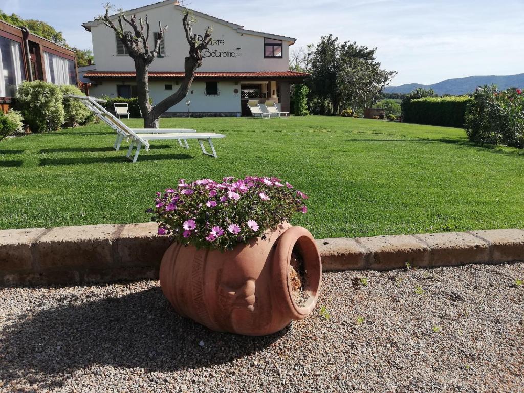 卡斯蒂里昂纳·德拉佩Agriturismo Diaccia Botrona的旁边那座房子里盛着鲜花的大锅