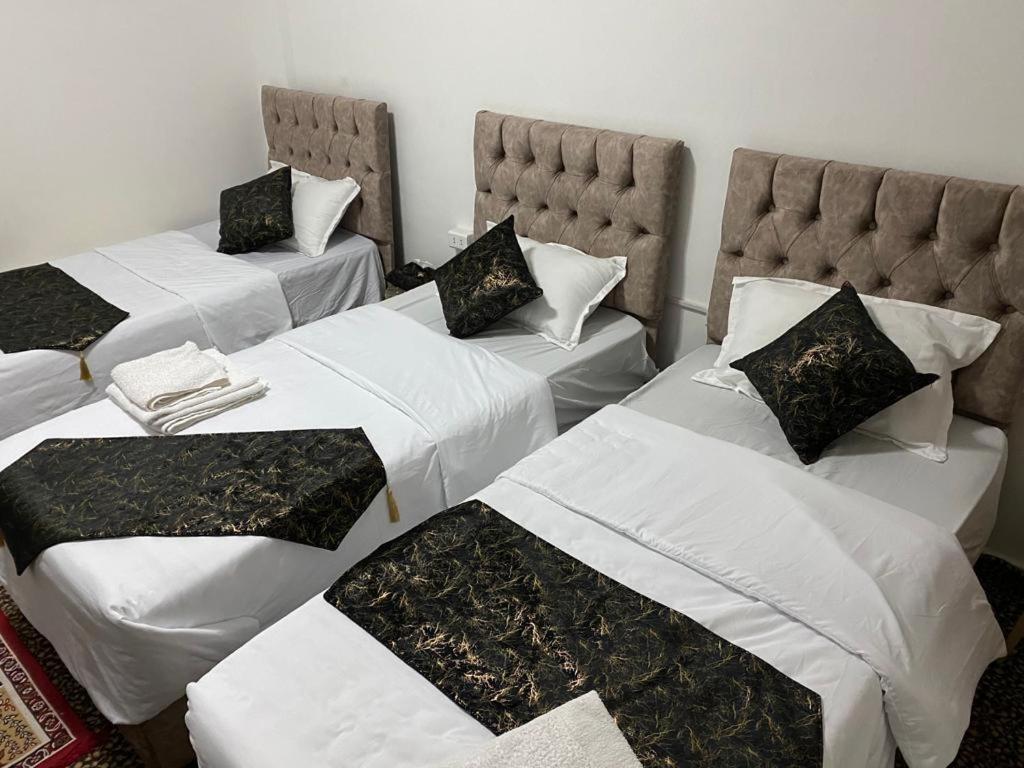 瓦迪穆萨Its your choice hostel的客房设有三张床,配有白色床单和枕头。