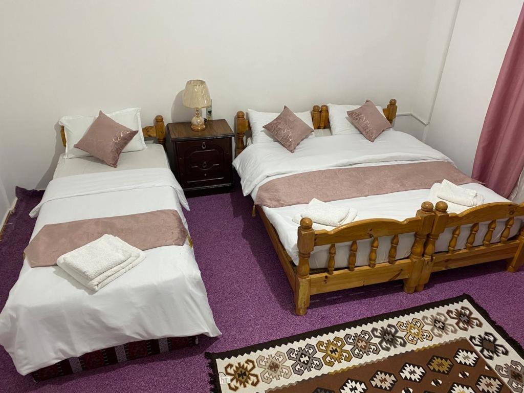 瓦迪穆萨taila hostel的两张睡床彼此相邻,位于一个房间里