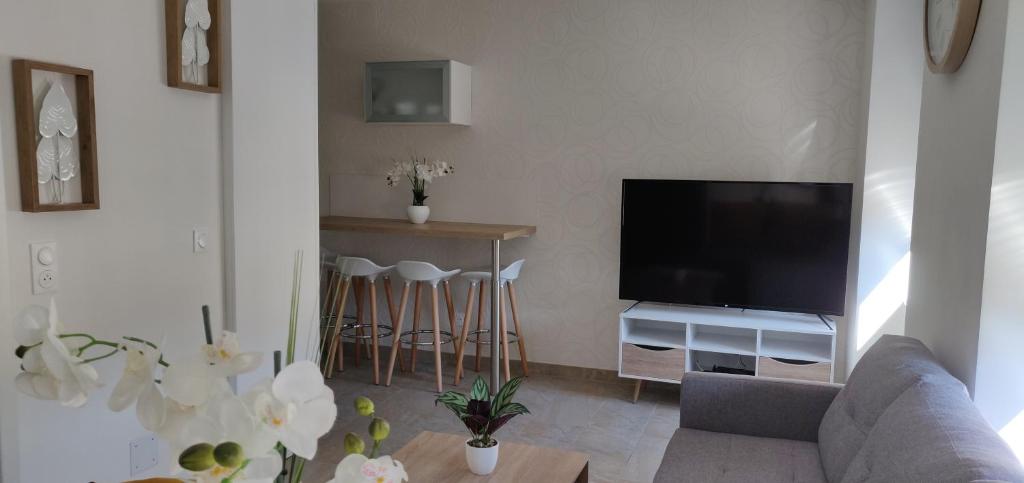 萨尔格米纳Le Cygne, appartement de standing en hyper-centre的带沙发和电视的客厅