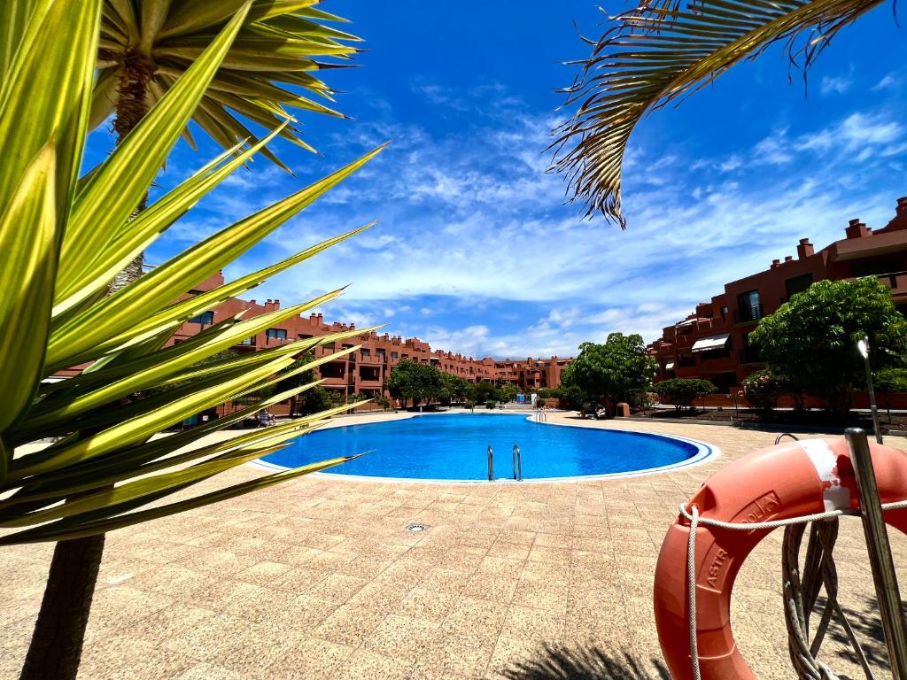 拉特吉塔Apartment in La Tejita (El Medano)的度假村中央的游泳池
