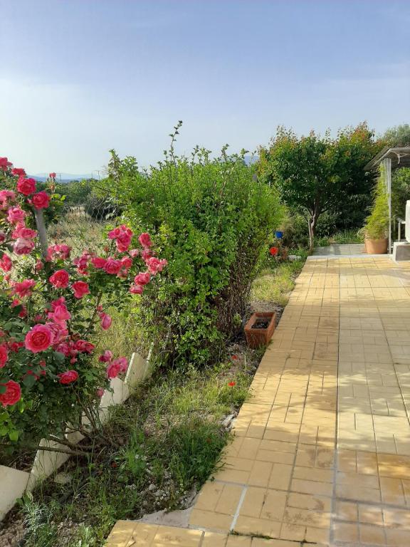 科洛皮奥Helen's cozy studio (close to the airport)的一座花园,花园内种植着粉红色玫瑰,设有砖砌走道