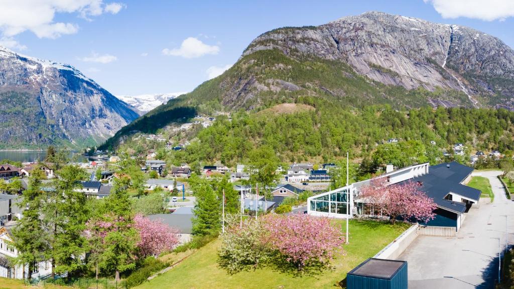 艾菲约德Eidfjord Hotel的享有山区小镇的空中景色