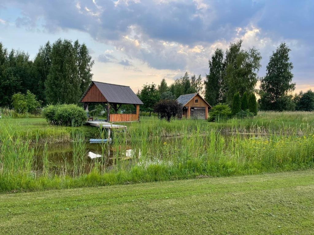 SaulepaOld fisherman's farmhouse and smoke sauna.的池塘边的建筑