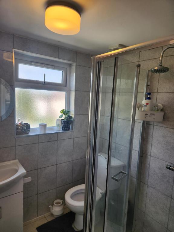 依尔福Private Room的带淋浴和卫生间的浴室以及窗户。