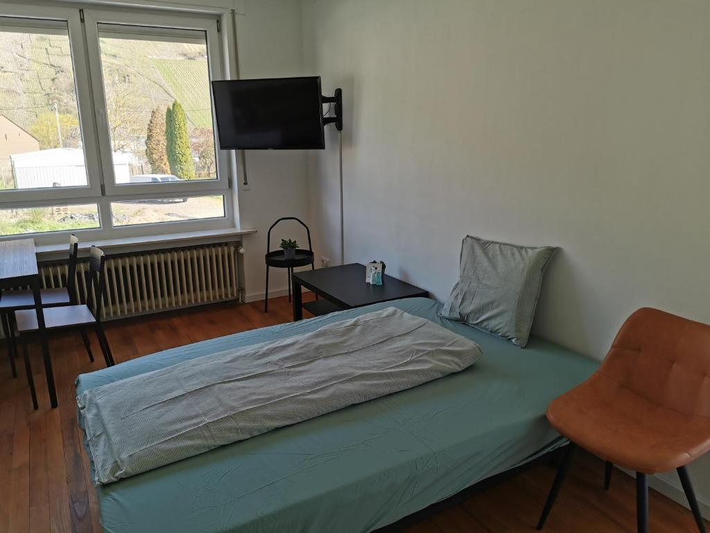特里滕海姆Ferienwohnung Zum Moselfischer的一间卧室配有一张床、一把椅子和电视