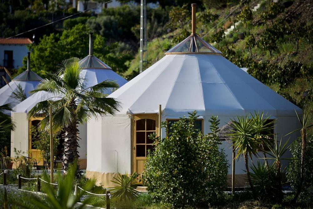 贝纳哈拉菲Darjas Yurtas el Morisco的花园内白色大帐篷的建筑