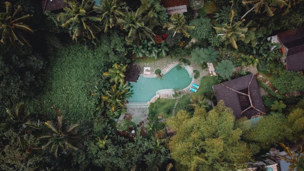 乌布Korurua Dijiwa Ubud的棕榈树庭院中游泳池的顶部景色