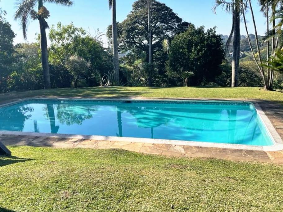 克卢夫Comfrey cottage的棕榈树庭院内的游泳池