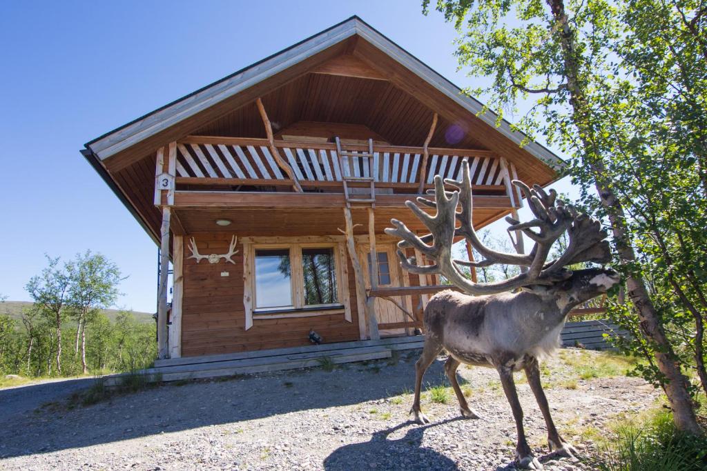 基尔匹斯扎我维Saivaara Cottages的小木屋前的鹿雕像