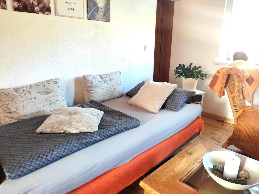 普里茨瓦尔克Ferienwohnung Steffenshagen的客房内的沙发上配有枕头