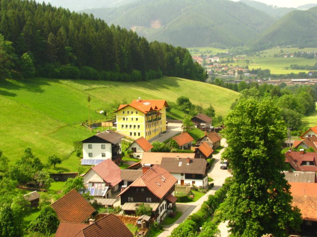 金德贝格Landgasthof Sepplwirt的绿色山谷中的村庄,有房子