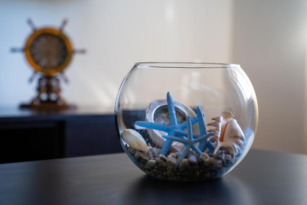 拉巴克Apartment Stella Marina的装满贝壳和海星的玻璃碗
