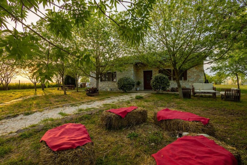 Πέτρινη εξοχική κατοικία, Λάρισα的房屋前草上两个红色帐篷