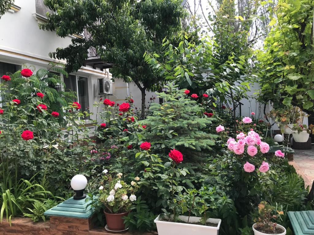 敖德萨Vilari Odessa的一座花园,在房子前面种满了鲜花