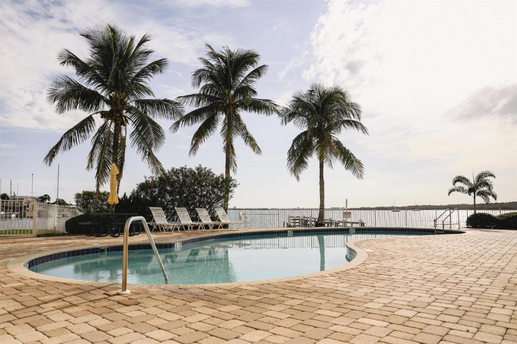圣彼得堡Dolphin Bay in Boca Ciega Resort - 2BR, Pool, Bay View的一座棕榈树环绕的游泳池
