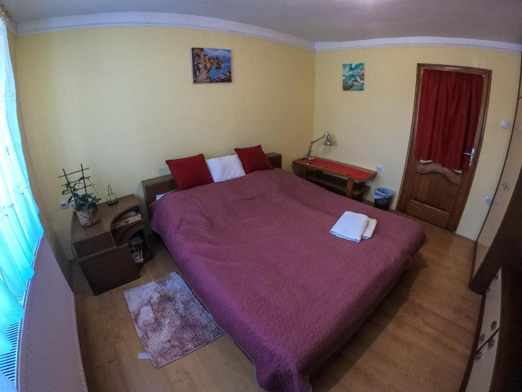 苏博蒂察sobe MAŠA的一间卧室配有一张大床和紫色毯子